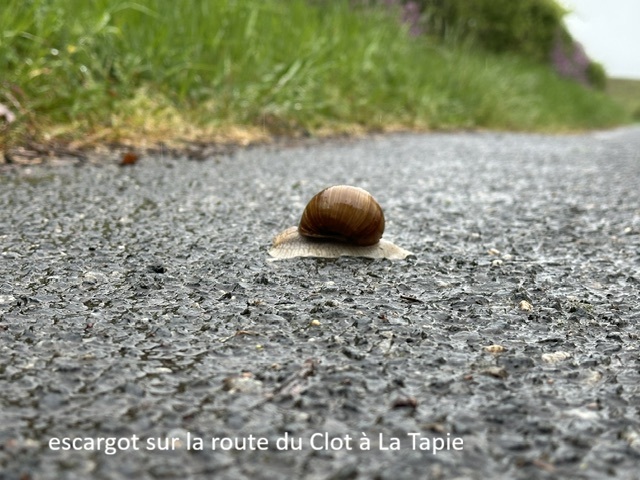 Photo du jour