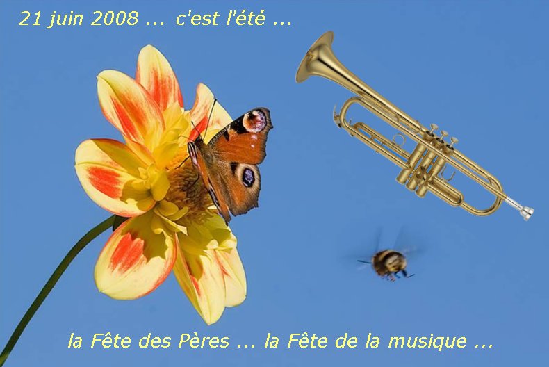 Photo du jour